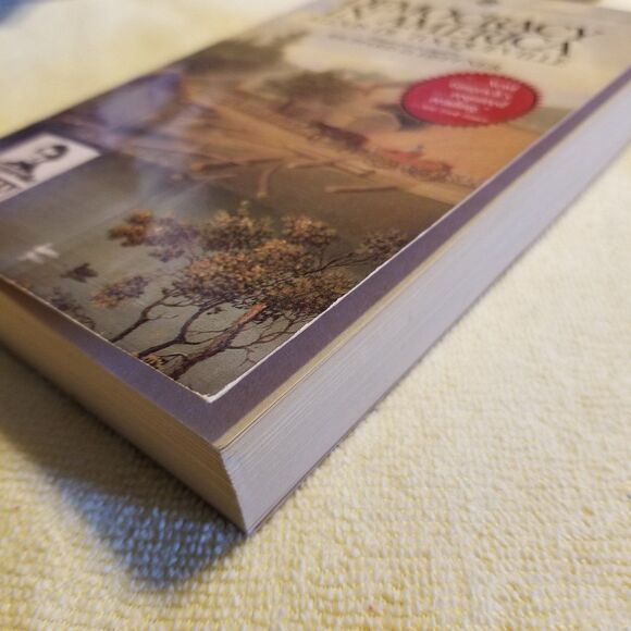Democracy in America paperback book - Picture 4 of 5